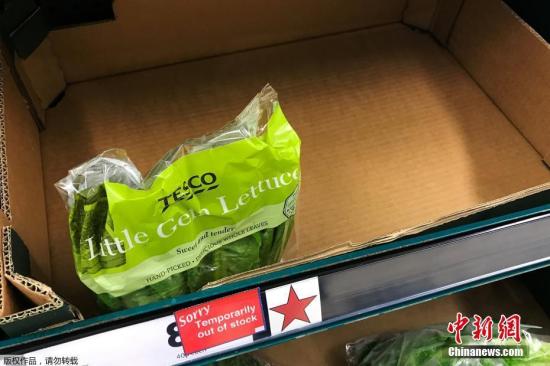 英国炎热天气造成生菜欠收 未来一周沙拉供应告急