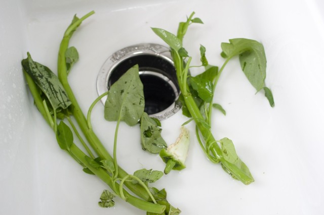 爱适易（InSinkErator）新品垃圾处理器