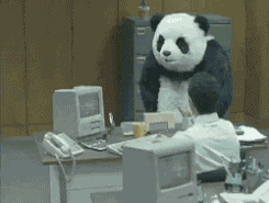 20180515103358tYsjygXeHl0xn2Q6.gif