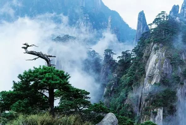 中国最美的五大峰林