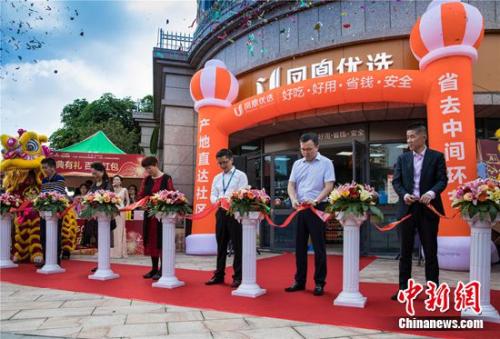 碧桂园泮翠庭凤凰优选门店开业剪彩仪式 碧桂园泮翠庭凤凰优选门店开业剪彩仪式