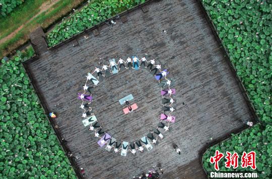 航拍俯瞰“荷塘里的瑜伽秀”。　丁铭华　摄