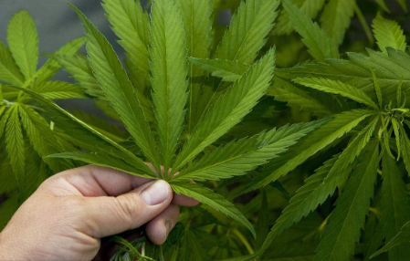 电脑病毒的危害_电脑病毒正网病毒会给电脑带来怎么样的危害_有什么危害