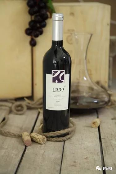 舌尖上的探戈:这几点教你品味阿根廷的葡萄酒