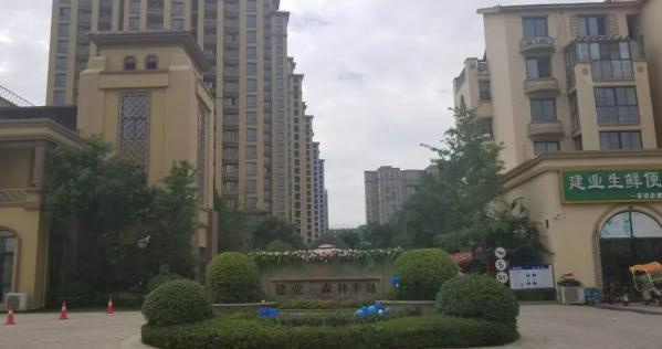 河南遂平:建业森林半岛热销背后 部分已售房源