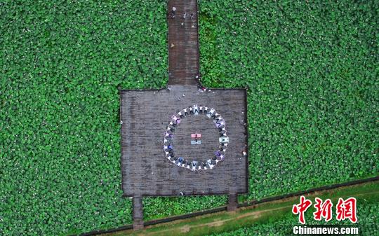 高空俯瞰“荷塘里的瑜伽秀”。　丁铭华　摄