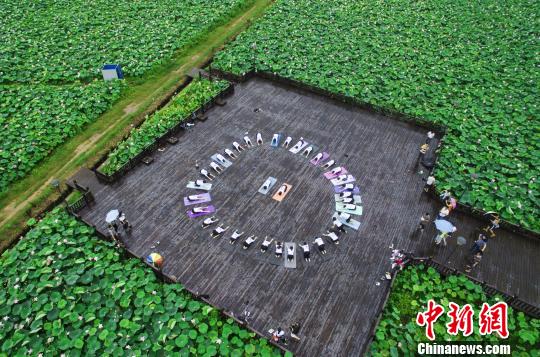 夏日时节，上畈的荷花竞相开放，娇艳迷人，瑜伽爱好者优美的身姿与荷花相映成趣。　丁铭华　摄