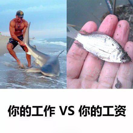 9c3a206dly1fs9ezoema2j20c80c8gm1.jpg