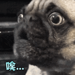 新政 | 7月1日生效!澳洲新移民方式--不要雅思4