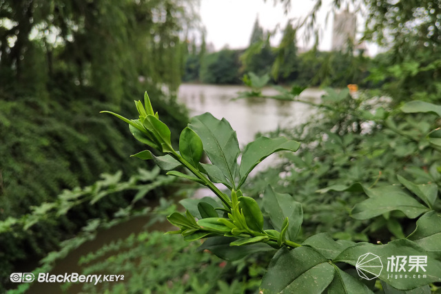 十年莓粉上手黑莓KEY2,经典与实用兼具的情怀机又回来了 十年莓粉上手黑莓KEY2,经典与实用兼具的情怀机又回来了