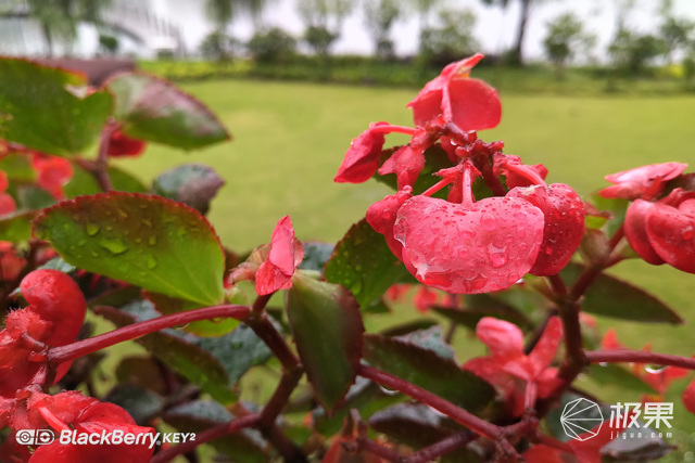 十年莓粉上手黑莓KEY2,经典与实用兼具的情怀机又回来了 十年莓粉上手黑莓KEY2,经典与实用兼具的情怀机又回来了