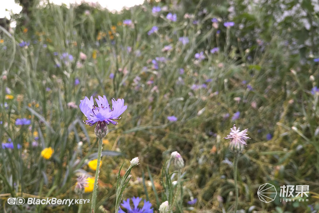 十年莓粉上手黑莓KEY2,经典与实用兼具的情怀机又回来了 十年莓粉上手黑莓KEY2,经典与实用兼具的情怀机又回来了