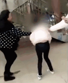 壁纸 动物 狗 狗狗 238_293 gif 动态图 动图