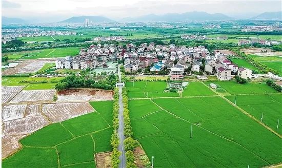 (巍山镇东莘桥村)别样的亲情作文初中图片