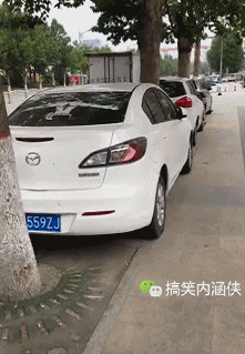 新郎新娘,你们确定是坐的结婚车,不是滴滴拼车吗      搞笑gif趣图