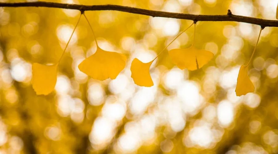 余额宝规模超过中行活期存款;清华旗下道口贷