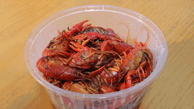 全容桂的小龙虾都被我吃了,你知道哪家最强吗