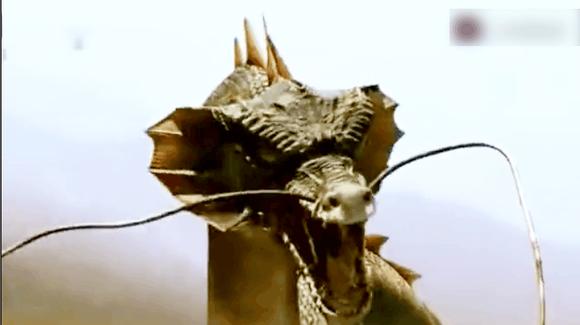 大蛇对大蟒电影