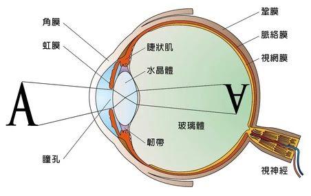 视觉暂留_什么是视觉暂留现象