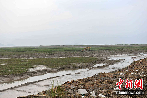 国家海洋督察组：浙江近岸海域生态环境质量问题突出