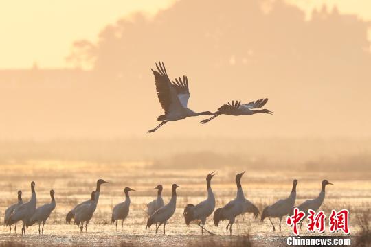 中国湿地面积居亚洲第一、全球第四