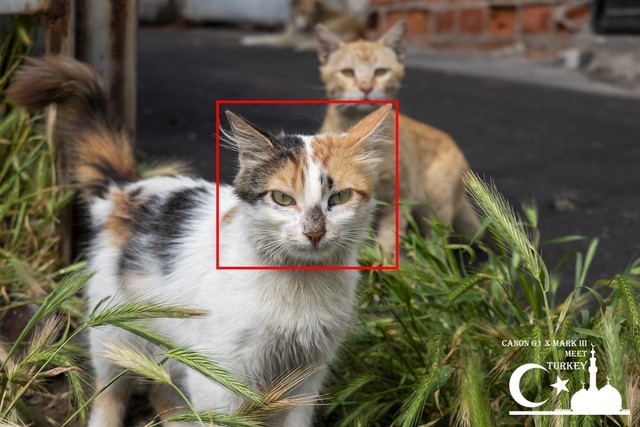 卡片机玩专业 佳能G1 X III性能全解析 