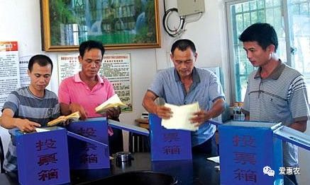 【三农政策】农村村干部选举五年一选政策出