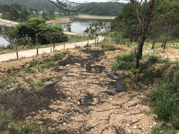 武汉黄陂村民挖断山路阻止臭淤泥运进村，环保局介入调查