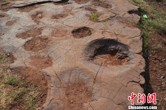 山东郯城发现世界首例群体小型恐爪龙类足迹