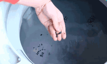 浸泡完以后排掉污水,再加清水漂洗两次,洗衣机的里面就清洁干净啦