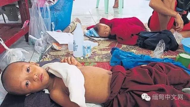 半年时间, 缅甸孟邦近千人感染登革热, 3名患者身亡