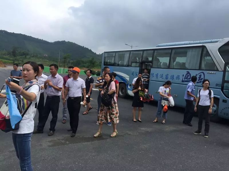 村集体经济规划_村集体经济补助收入(3)