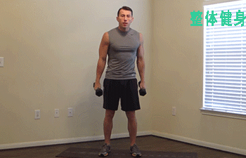 9哑铃动作,从上肢到下肢,全面帮你锻炼身体每