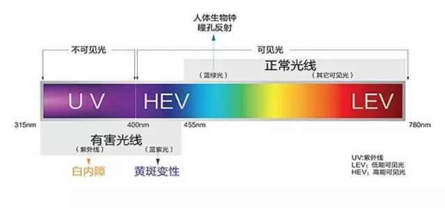 蓝色光危害这么大,为什么全球科技产品都爱用