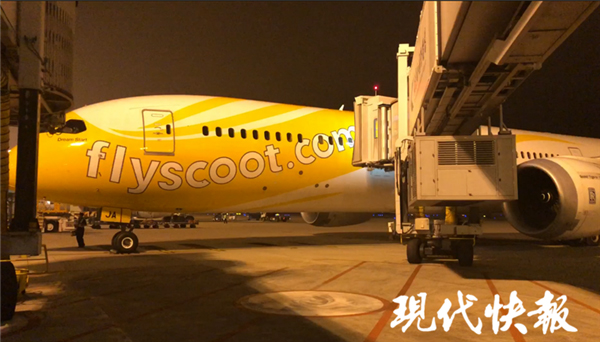 南京飞新加坡一航班轮胎破损，近400名旅客退关滞留