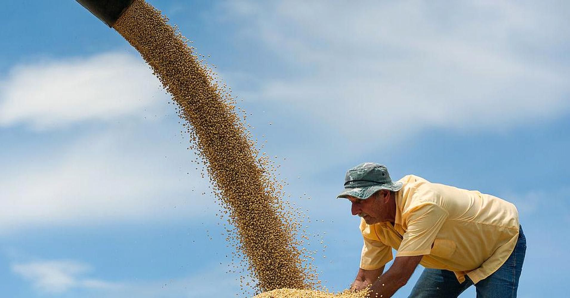 美国农业组织强烈呼吁美政府停止贸易战