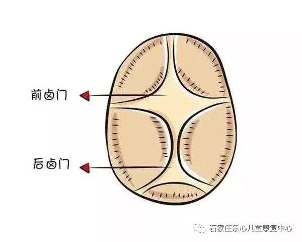 宝宝的囟门什么时候闭合才算是正常的