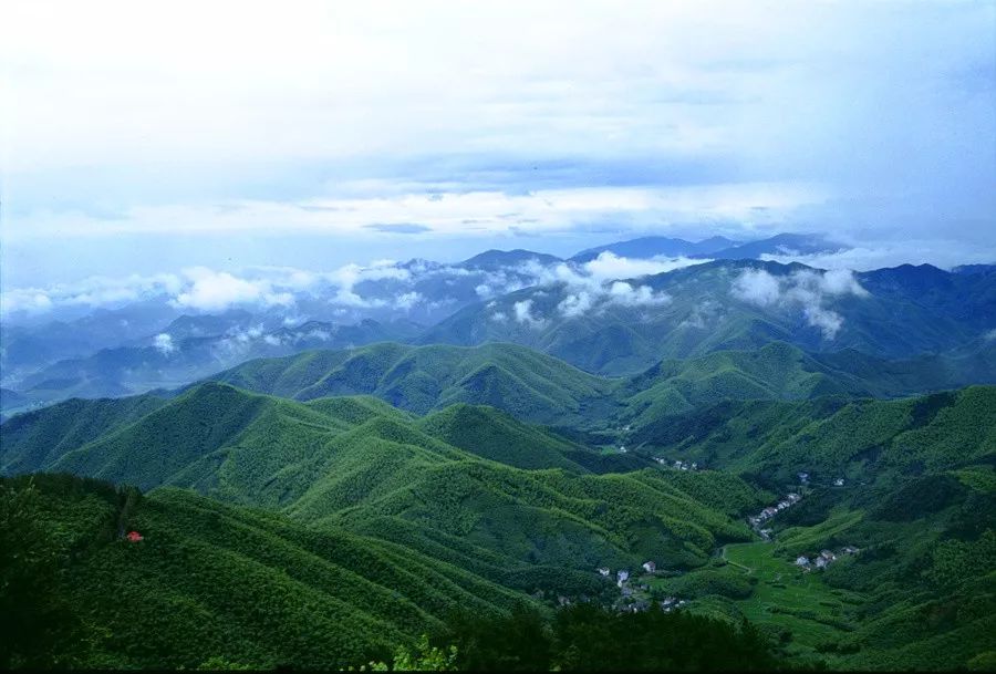 莫贪春色好,春去人将