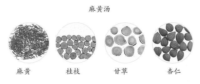 透疹,我喜用 升麻葛根汤