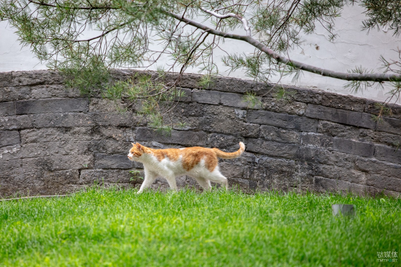 焦距:mm 光圈:f/ 快门:1/s ISO: