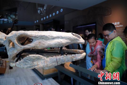 上海自然博物馆进入“暑期模式”