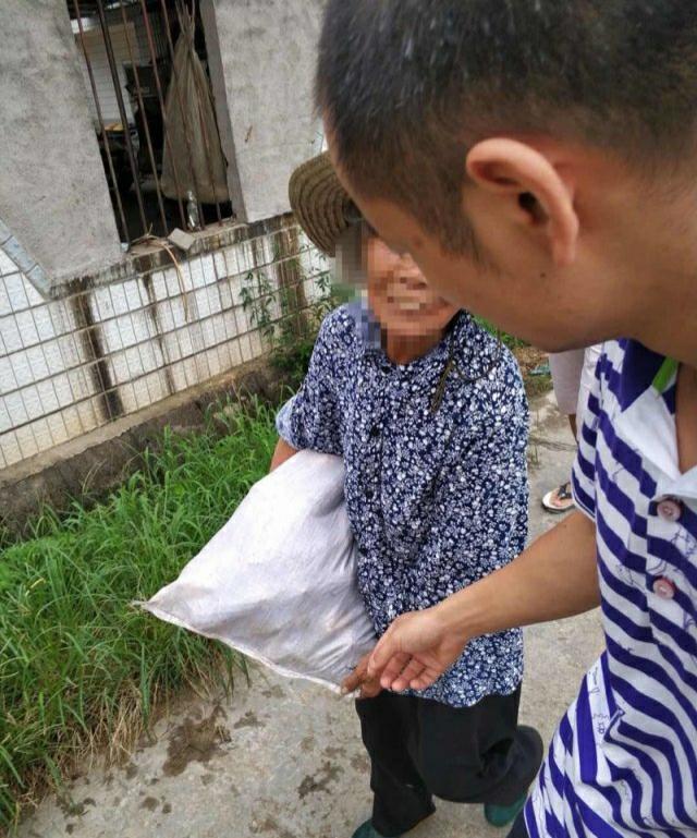 湖南浏阳村民偷摘实习基地玉米 当地政府调查处置