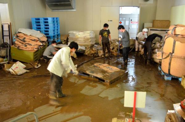 日本暴雨导致知名酒厂进水停电，30万瓶“獭祭”报废