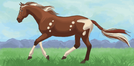 壁纸 动物 马 骑马 443_220 gif 动态图 动图