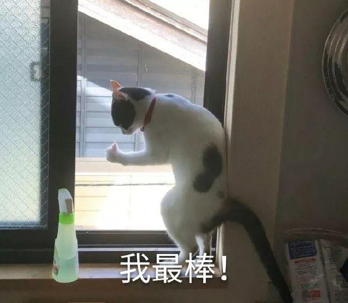 表情:微信聊天不v表情,但不没有表情我想_想我表情包图片