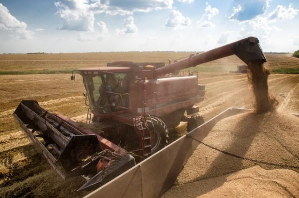 美国小麦也要凉 中国进口转向“一带一路”国家