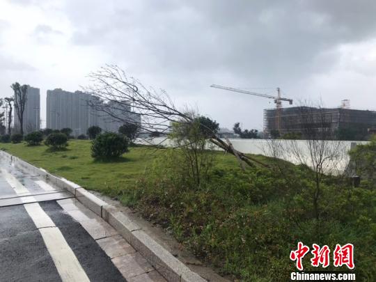 应对台风“玛莉亚”：浙江转移39万余人2万余艘渔船