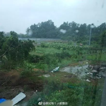 强台风来袭：浙江30万人大转移！温州台州狂风大雨