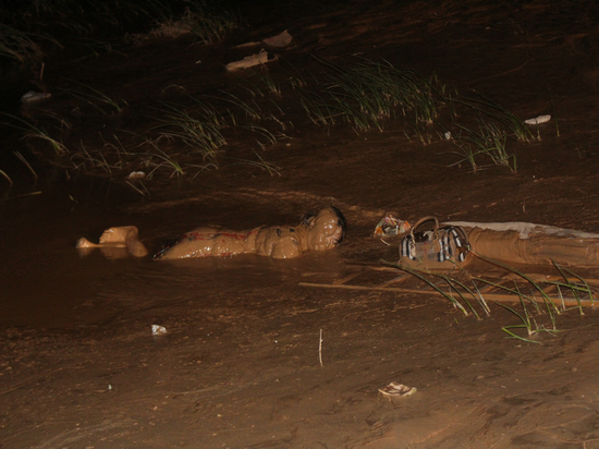 乌海:醉酒女子黄河边“吹风”不料陷入泥潭