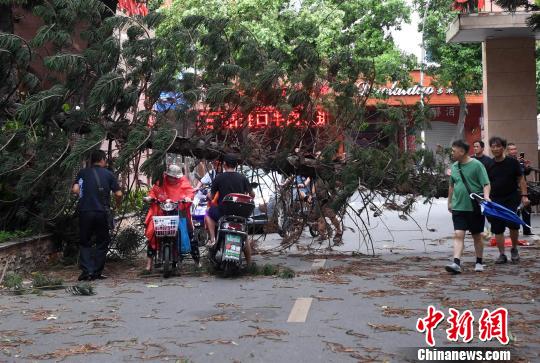 台风“玛莉亚”已造成福州直接经济损失逾1.6亿元
